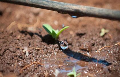 انواع آبیاری قطره ای آبیاری قطره ای ثقلی (گرانشی)