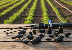 بست ابتدایی