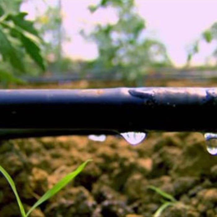 آبیاری قطره ای شرکت باران پليمر